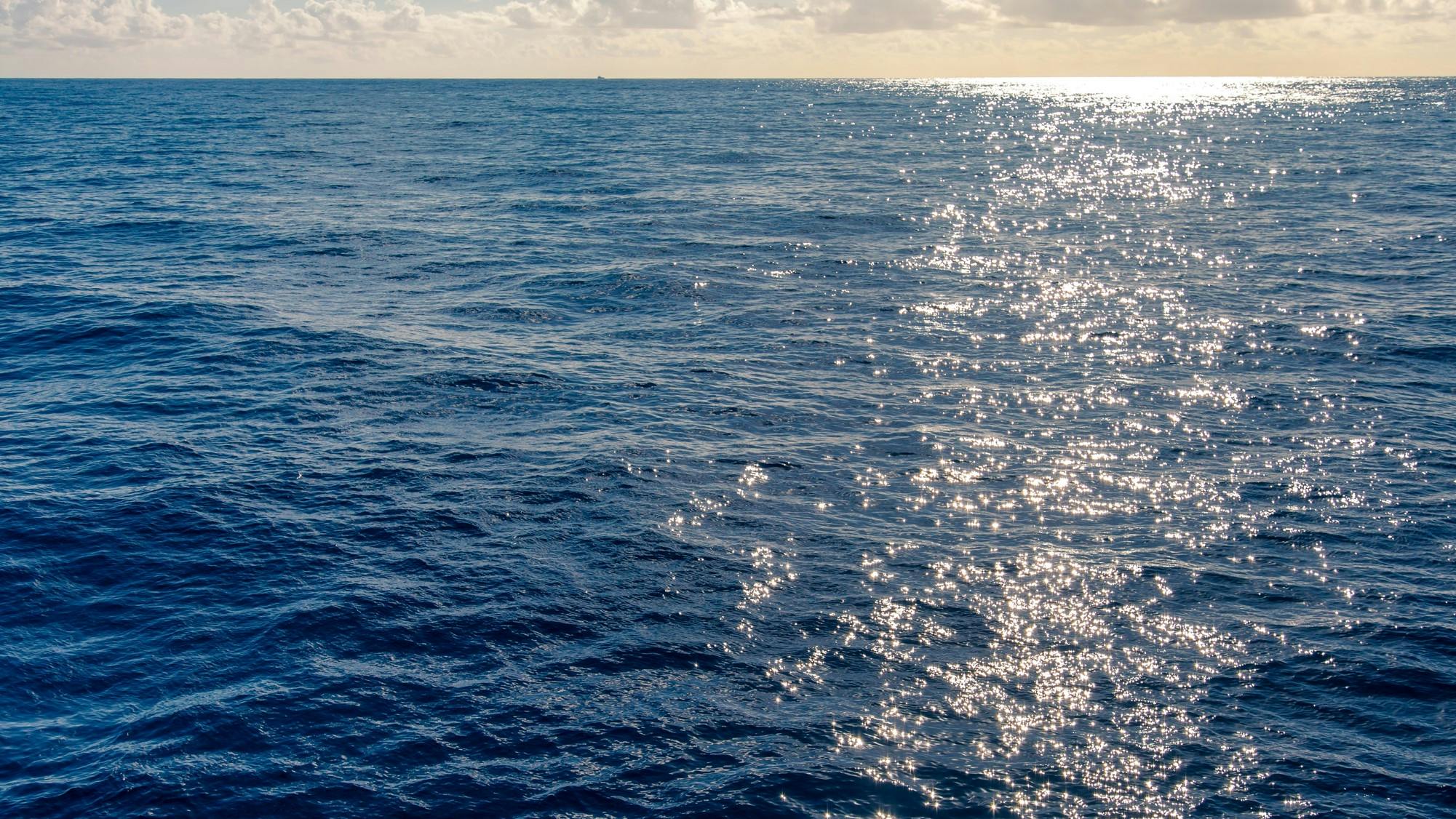 Petrobras begins the Binding Phase of the Tartaruga Field in the Sergipe-Alagoas Basin