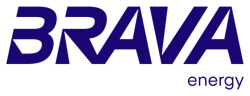 bravalogo_500w bravalogo_500w