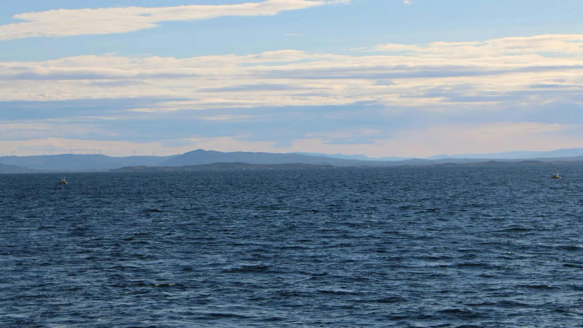 Fugro trials first automated eDNA sampler to transform biodiversity studies