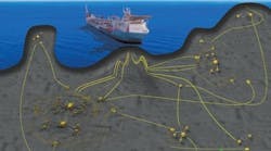 Sea Lion Field Sea Lion Field