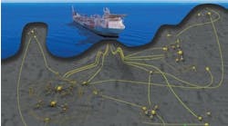 Sea Lion Field Sea Lion Field