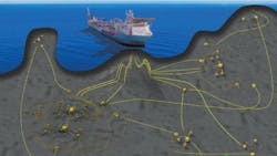 Sea Lion Field Sea Lion Field