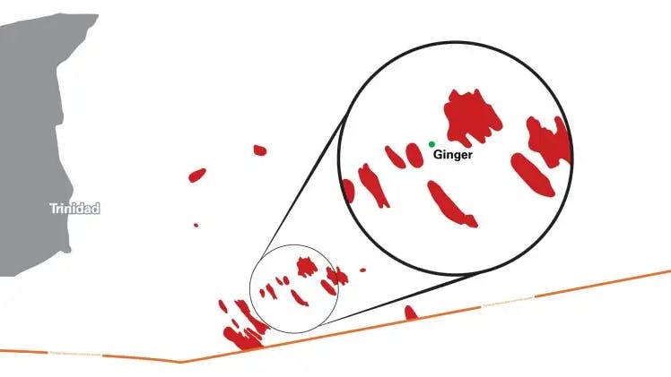 Ginger gas development