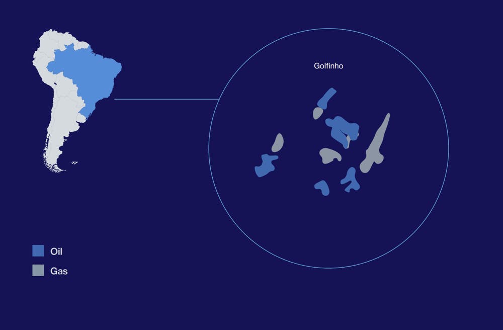 Golfinho license Golfinho license