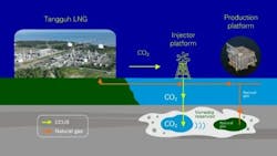 bp's Tangguh CCUS project schematic bp's Tangguh CCUS project schematic
