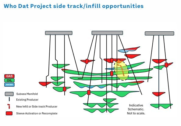 Who Dat project sidetrack well and infill opportunities Who Dat project sidetrack well and infill opportunities
