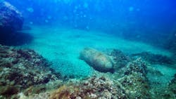 Fugro joins consortium to clear explosives from European waters Fugro joins consortium to clear explosives from European waters