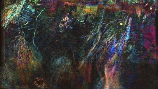 Eliis Paleoscan horizon slice