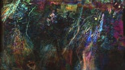 Eliis Paleoscan horizon slice Eliis Paleoscan horizon slice