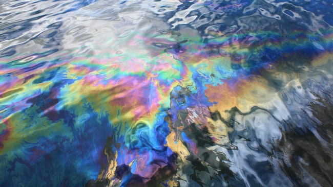 oil spill in the Gulf of Mexico