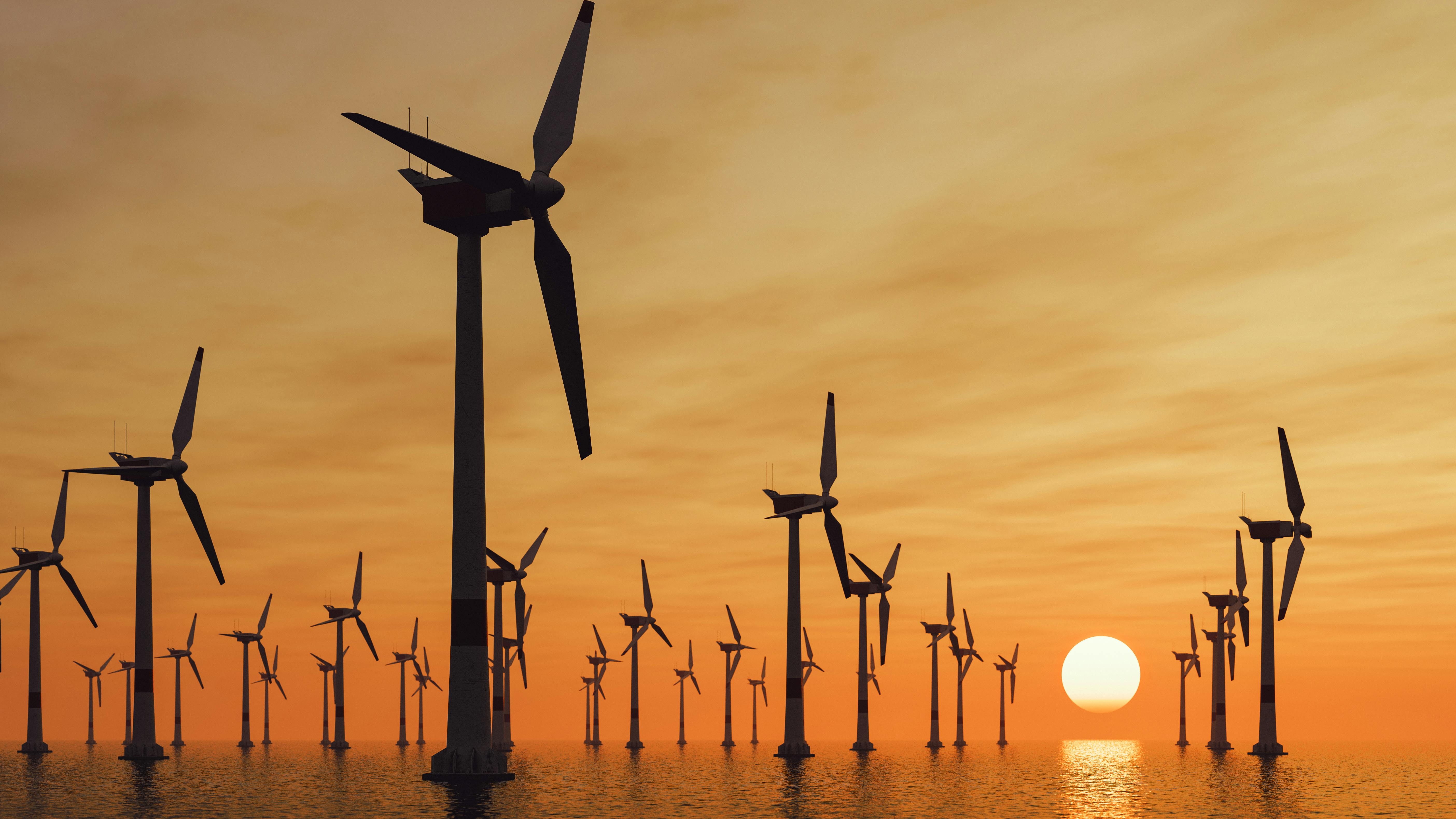 Coastal Virginia Offshore Wind can resume construction, says federal judge