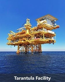 Tarantula Facility Tarantula Facility