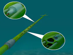 Co-located particle velocity and pressure field sensors in a multisensor towed streamer acquisition Co-located particle velocity and pressure field sensors in a multisensor towed streamer acquisition