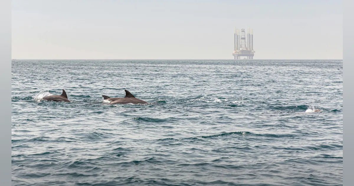 Noise reduction techniques under development in Europe for offshore ...