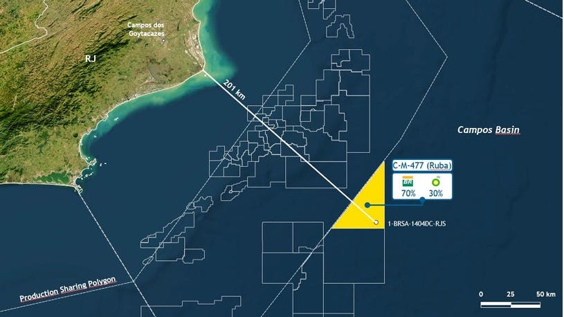 Petrobras, bp discover hydrocarbons in deepwater Campos basin