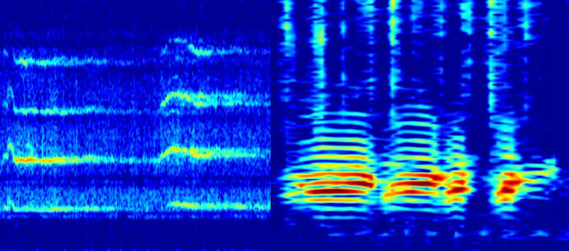 fugro marine mammal monitoring technology fugro marine mammal monitoring technology