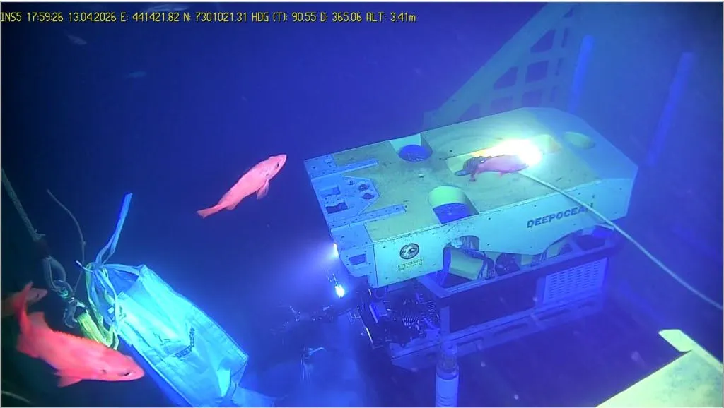 Dina Star ROV carries out seabed work