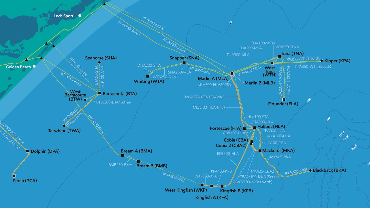 Bass Strait pipeline network
