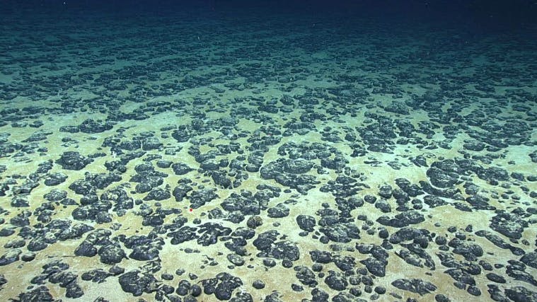 Marine Minerals Administration advances first proposed offshore critical minerals lease sale