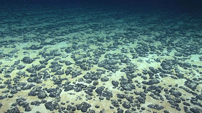 Marine Minerals Administration advances first proposed offshore critical minerals lease sale