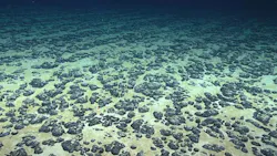 Marine Minerals Administration advances first proposed offshore critical minerals lease sale