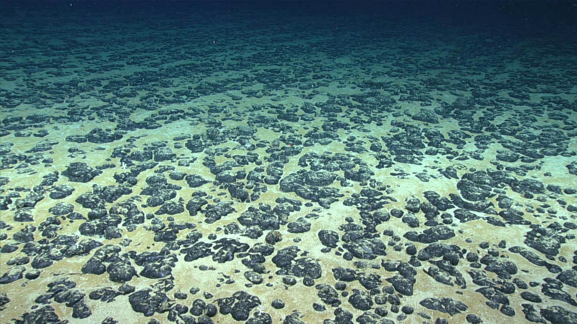 US advances first deep-sea mining lease sale off American Samoa