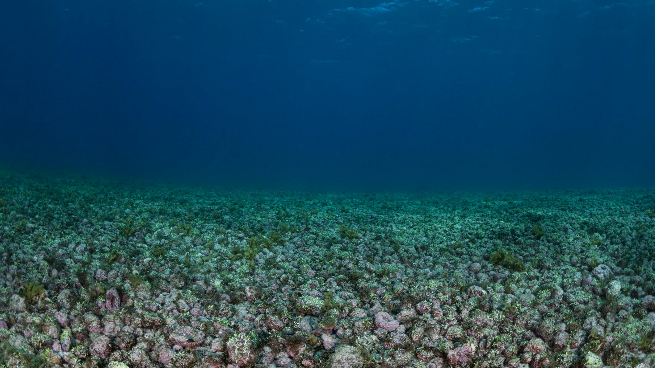 US moves toward first major seabed minerals lease sale off Northern Mariana Islands