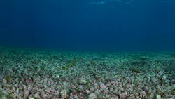 US moves toward first major seabed minerals lease sale off Northern Mariana Islands