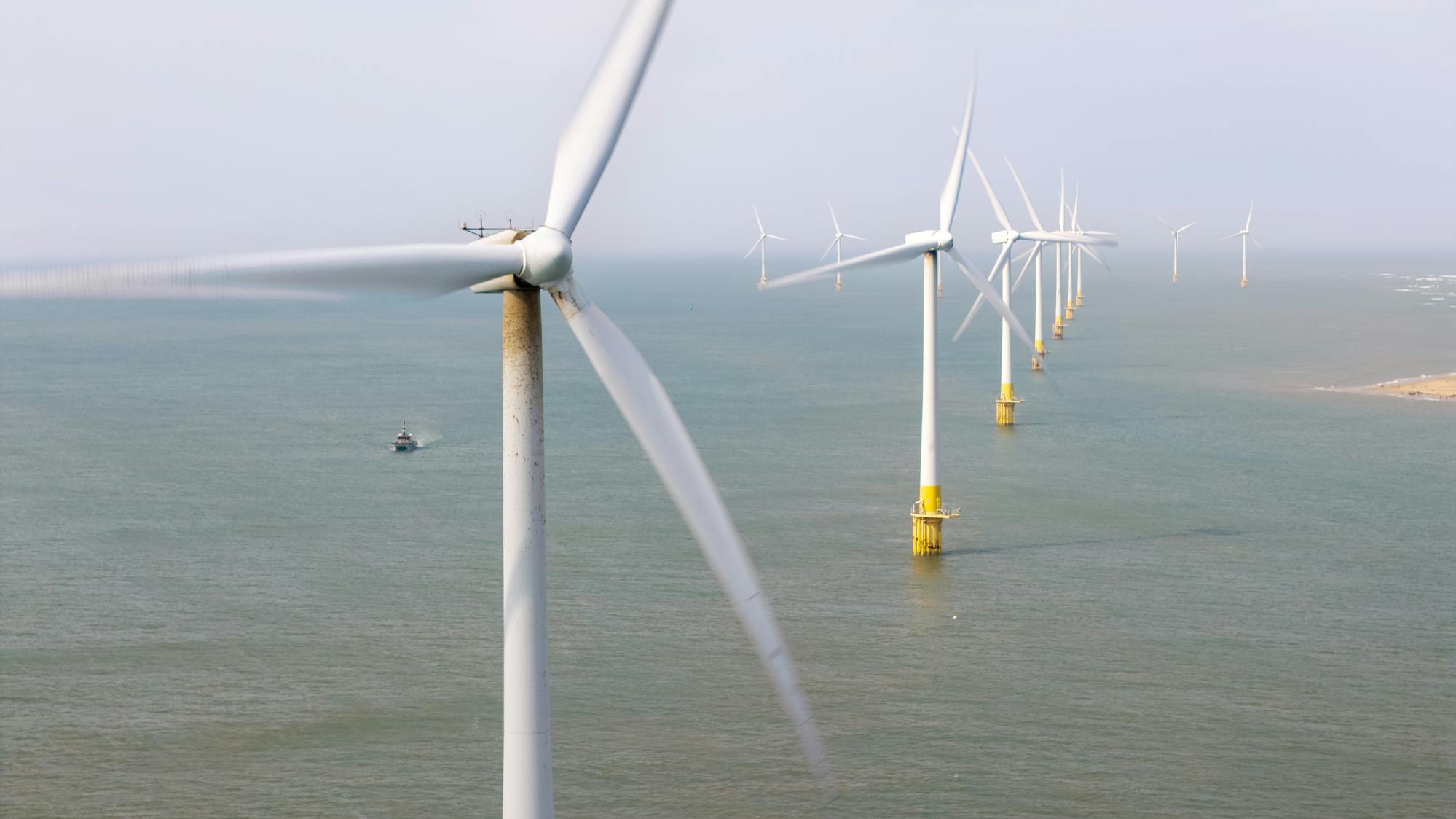 Offshore wind farm during daytime