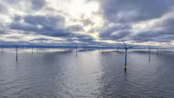 Offshore Wind Farm with Dozens of Turbines at Sunset