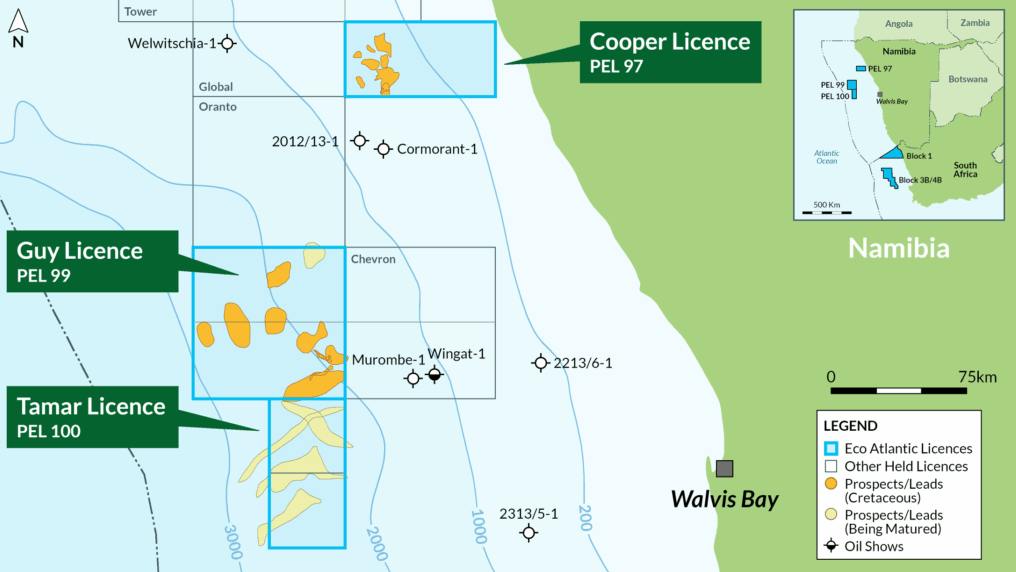Map of the Cooper (PEL 97), Guy (PEL 99) and Tamar (PEL 100) licenses in Namibia's offshore Walvis Basin